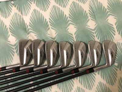 Custom Honma T world Rose Proto