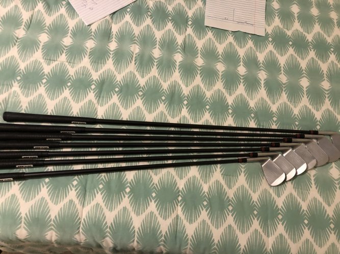 HONMA T//WORLD TOUR WORLD TW-MB ROSE PROTO Fer SET #5-pw 6pc Acier DG S200 S EUR 560,35