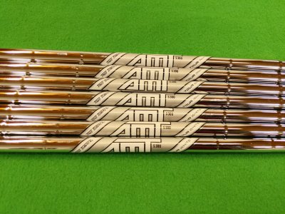 True Temper AMT Tour White