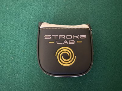 Odyssey Stroke Lab 2-Ball Fang Putter