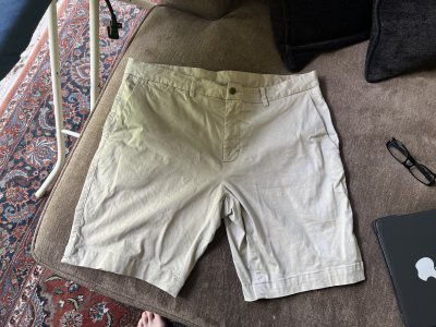 Shorts, 36”
