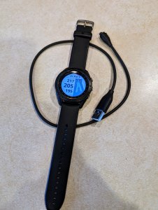 Garmin S60
