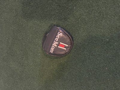 Odyssey OG and SeeMore Mallet