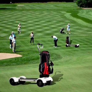Board 4- wheel Electric Golf cart