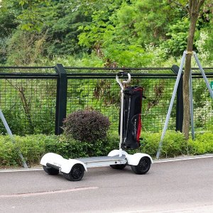 off road electric golf carts 4 wheels 