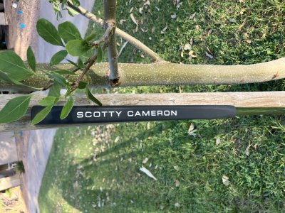 Scottie Pro Platinum Coronado Mid