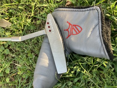 Scotty Cameron pro platinum coronado